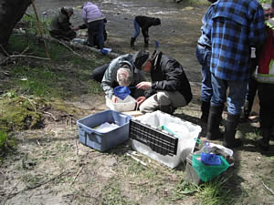 2011 Streamkeepers Course